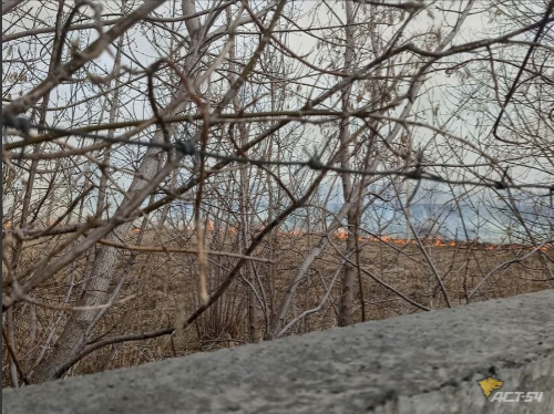 Поджоги травы